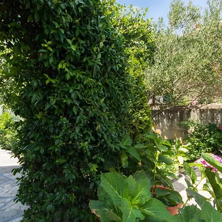 Apartmán Lorenzo Trogir